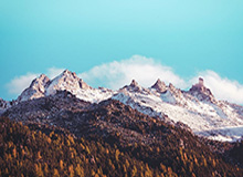 华体会平台-“林疯狂”宣布退役！回顾林书豪15年球员生涯丨封芒视频